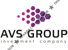 AVS Group