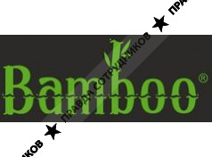 Bamboo