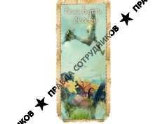 Активности