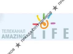 Amazing LIFE
