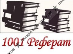 1001реферат