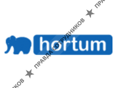 Компания Хортум