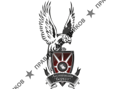 Ассоциация Беркут